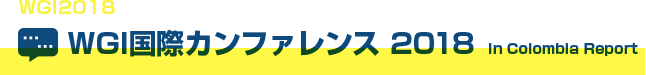 「中毒性からどう抜けだすか？（ブラッドリー・スミス氏分科会講演）」 WGI国際カンファレンス2018